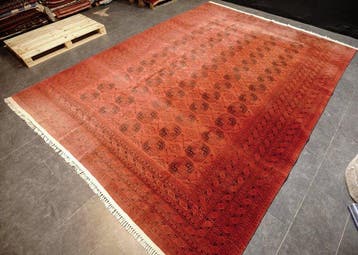 Afghan - Tapis - 385 cm - 295 cm, Nieuw