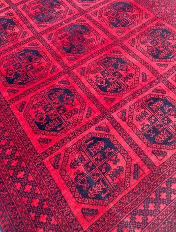 Turkmène - Nettoyé - Tapis - 296 cm - 195 cm