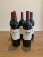 1999 Chateau Tourteau Chollet - Graves - 5 Bouteilles (0,75, Collections, Vins