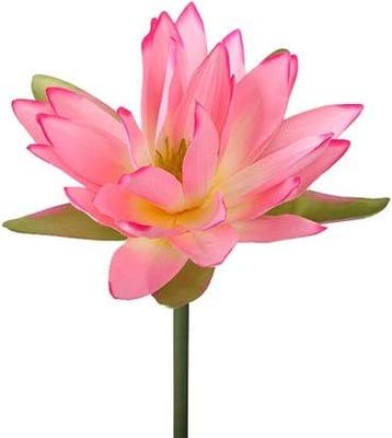 Real Touch Waterlelie Pink per stuk, Nieuw