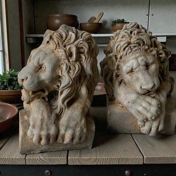 sculptuur, Teste Lion ferma libri 30 cm h - 30 cm - Paar