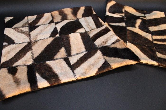 Zebra Balg - Equus quagga - 40 cm - 40 cm - 1 cm -, Collections, Collections Animaux