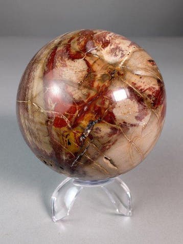 Prachtig fossielhout - Gefossiliseerd hout - 7.5 cm - 7.5 cm