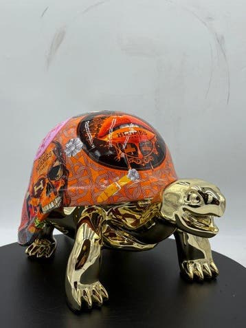 Naor - Turtle couture