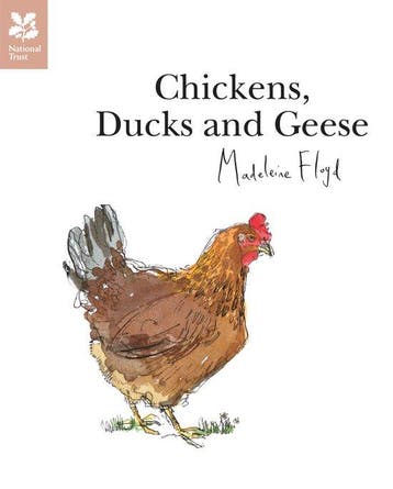 Chickens Ducks & Geese 9781907892318 Madeleine Floyd, Verzenden, Gelezen, Madeleine Floyd