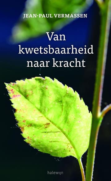 Van kwetsbaarheid naar kracht 9789085284758, Verzenden, Jean-Paul Vermassen