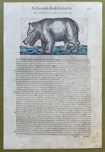 Hippopotamo finto - 1565, Antiek en Kunst, Antiek | Boeken en Manuscripten