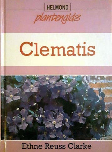 Clematis - Clarke, Verzenden
