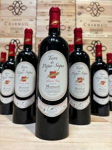 2004 Château Terre de Pique-Sègue Anima Vitis - mon voyage -
