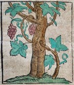 Sebastian Münster - Cosmographey: das ist, Beschreibung