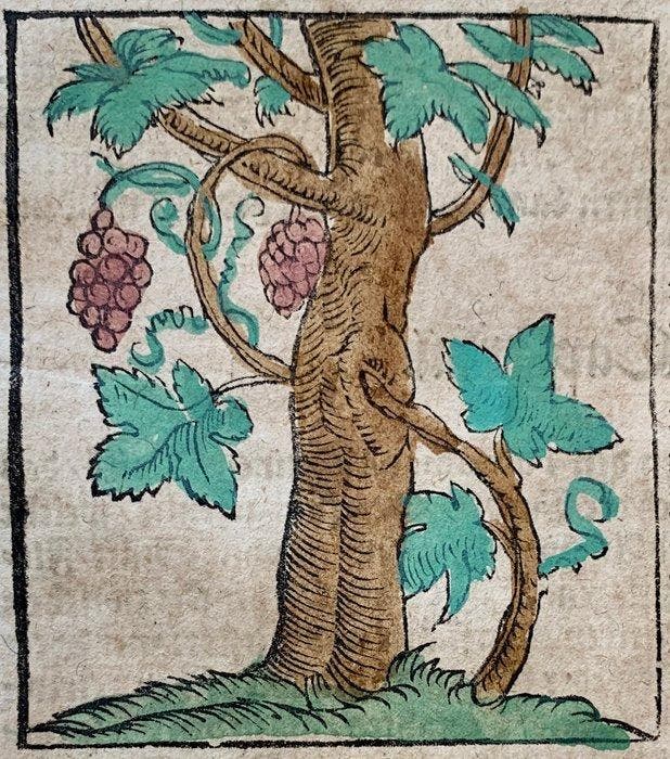 Sebastian Münster - Cosmographey: das ist, Beschreibung, Antiek en Kunst, Antiek | Boeken en Manuscripten