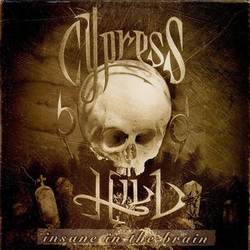 Cypress Hill - Insane In The Brain, Cd's en Dvd's, Vinyl | Pop, Verzenden, Gebruikt