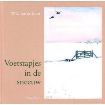 Voetstapjes in de sneeuw / Voor onze kleinen 9789026642548, Verzenden, Gelezen, W.G. van de Hulst