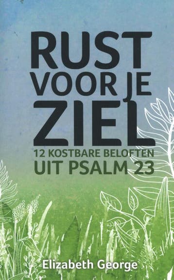 Rust voor je ziel 9789492234667 Elizabeth George, Boeken, Verzenden, Gelezen, Elizabeth George