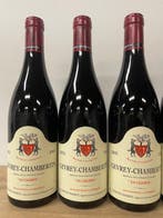 2005 Granet-Pansiot, Gevrey-Chambertin En Champs -, Collections