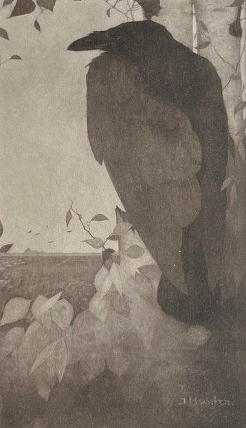 Jan Mankes (1889-1920) - Raaf op berkeboom