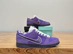 Nike SB - Purple Lobster - Sneakers - Maat: EU 42, Nieuw