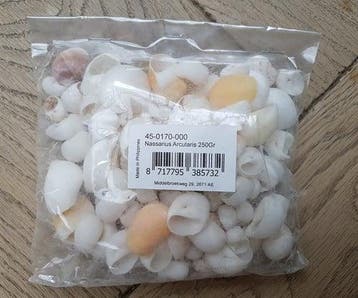 Nassarius Arcularis schelpen 250 gram, Nieuw