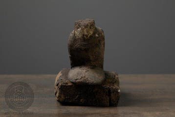 Oude Egypte, late periode Hout Oud-Egyptische houten valk -