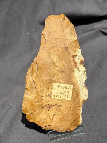 Paleolithisch Grote Magdalénien Vuistbijl / Schraper –