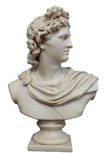 Sculpture, Busto Apollo del Belvedere - 46 cm - Marco di