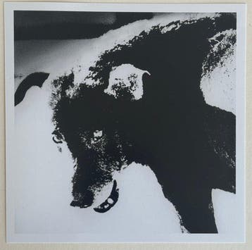 Daido Moriyama (1938) (  b. 1938) - Misawa, Aomori,