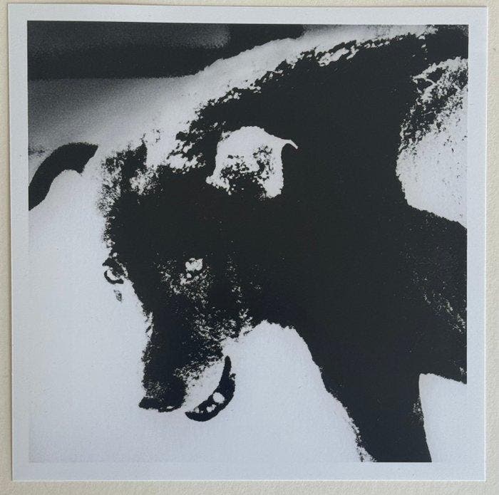 Daido Moriyama (1938) (  b. 1938) - Misawa, Aomori,, Antiquités & Art, Art | Objets design