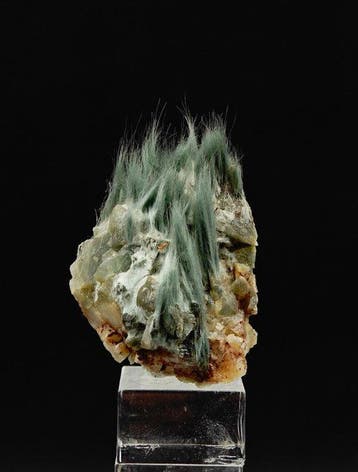 ALPINO, splendide BISSOLITE à touffes fibreuses vertes,