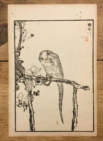 Antieke Japanse tweeluik houtblok prent van een parkiet (,