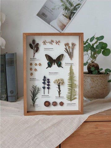 Diverse planten en een vlinder Taxidermie volledige montage, Nieuw