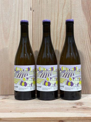 2022 Pierre Mang - Les Terres Noires - Bourgogne - 3