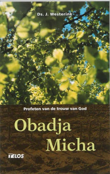 Obadja en Micha 9789058810939 J. Westerink, Verzenden, Zo goed als nieuw, J. Westerink