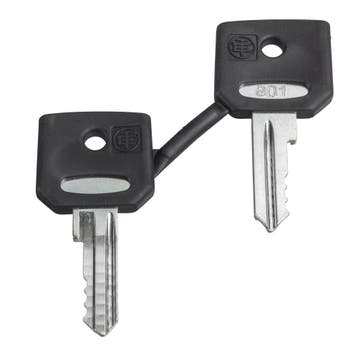 Schneider Electric Ronis 455 Sleutelset Met Beschermende, Verzenden, Nieuw
