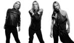 Ben Dauchez - Triptyque Iggy - XL