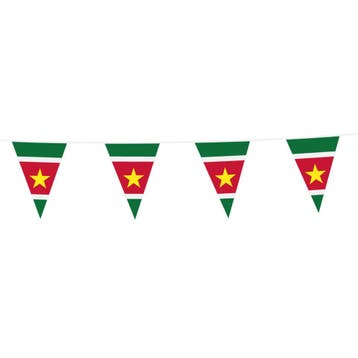 Vlaggenlijn Suriname 10m, Verzenden, Nieuw