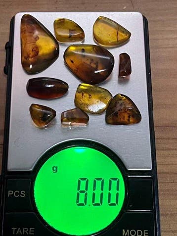 Insecte - Ambre - Burmit 10 Stück 8.00 gramm AA Burmit, Verzamelen