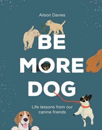 Be More Dog 9781787134546 Alison Davies, Verzenden, Alison Davies