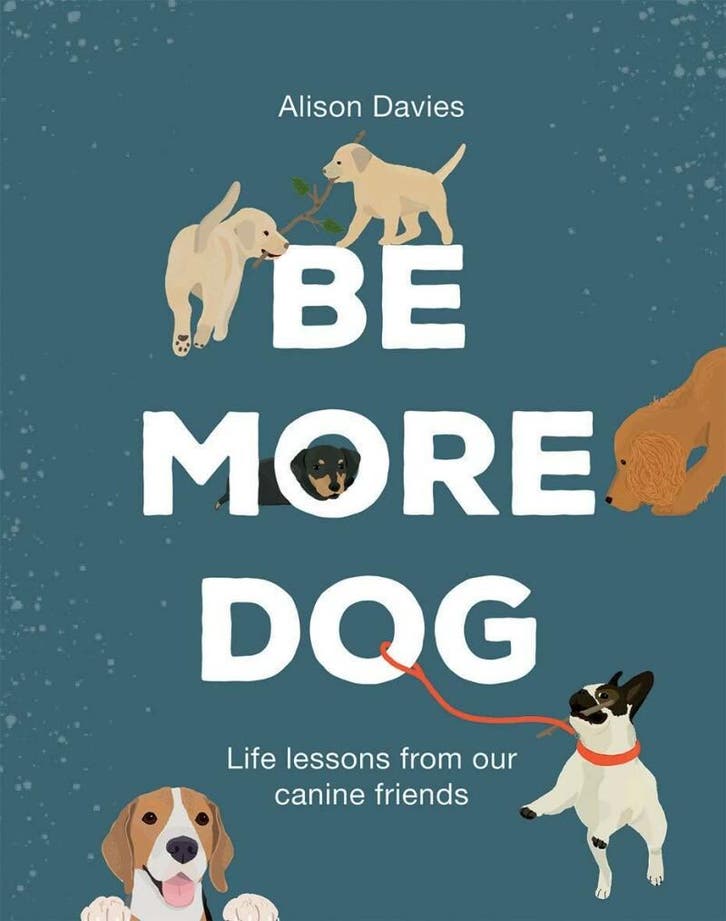 Be More Dog 9781787134546 Alison Davies, Livres, Langue | Anglais, Envoi