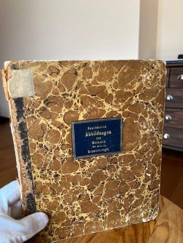 Wilhelm Weber, Eduard Weber - Anatomische Abbildungen zur, Antiek en Kunst, Antiek | Boeken en Manuscripten