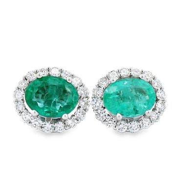 Oorbellen - 18 karaat Witgoud - 4.44ct. tw. Smaragd -, Nieuw