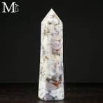 Aragoniet Insluitsels - Eerste Keuze Mineral Dendrietagaat