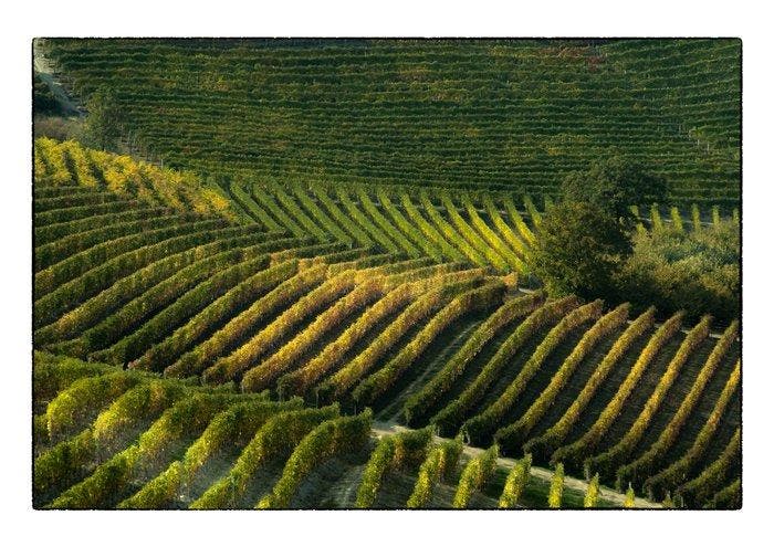 Franco Turcati - Langhe Autunno 2, Antiquités & Art, Art | Objets design