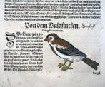 Conrad Gesner - First Issue - Tree Sparrow, Fringilla
