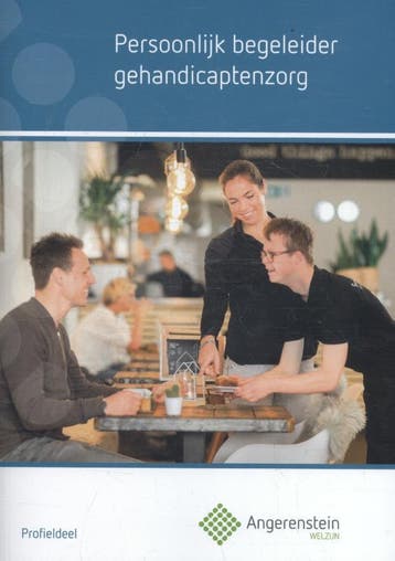 Persoonlijk begeleider gehandicapten zorg / Angerenstein, Verzenden, J. Bolt