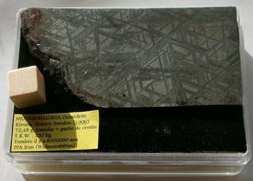 Météorite de Muonionalusta Superbe Octaédrite IVA avec