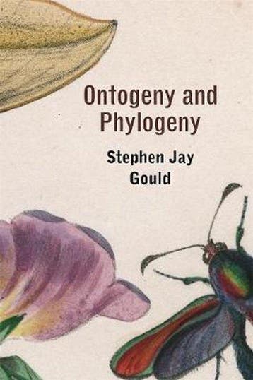 Ontogeny and Phylogeny 9780674639416 Stephen Jay Gould, Verzenden, Stephen Jay Gould