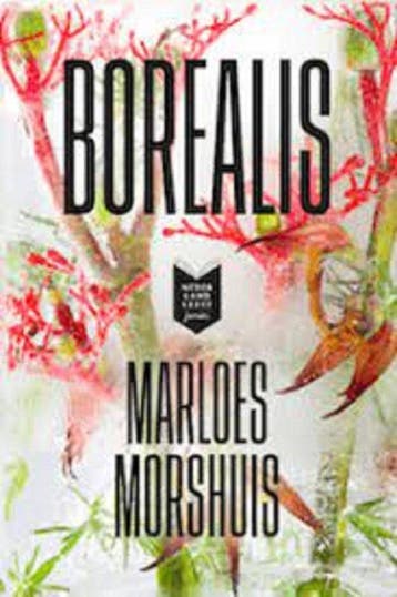 Marloes Morshuis, Borealis 9789001899172 Marloes Morshuis, Verzenden, Gelezen, Marloes Morshuis