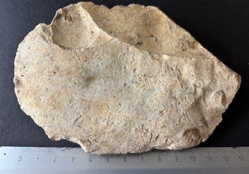 Paléolithique ancien et moyen : Néandertal Silex Artefacts