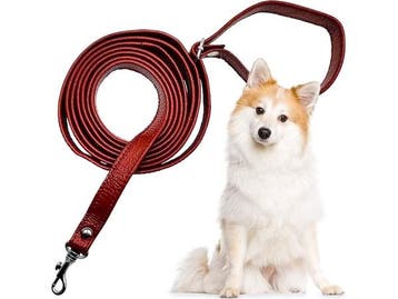 Veiling - 2x Multifunctionele hondenlijn echt leder 3M bruin, Animaux & Accessoires, Laisses pour chiens