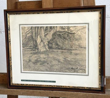 Camillo Cima (XIX-XX) - Giardini pubblici